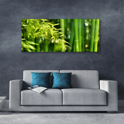 Quadro canvas Planta de folhas de bambu