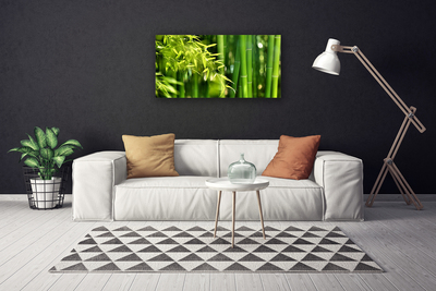 Quadro canvas Planta de folhas de bambu