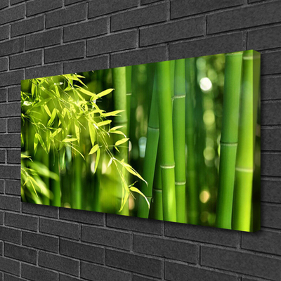 Quadro canvas Planta de folhas de bambu