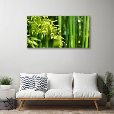 Quadro canvas Planta de folhas de bambu