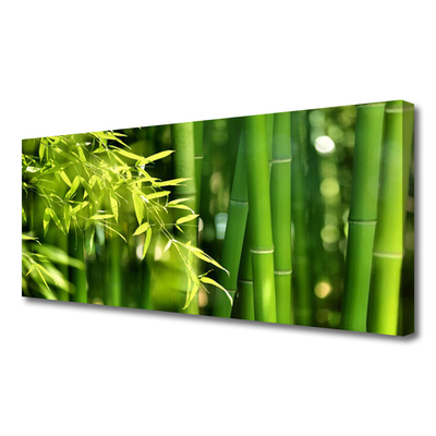 Quadro canvas Planta de folhas de bambu