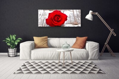 Quadro em tela Rosa Flor Planta Natureza