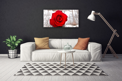 Quadro em tela Rosa Flor Planta Natureza