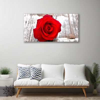 Quadro em tela Rosa Flor Planta Natureza