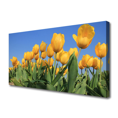 Quadro canvas Tulipas Flores Planta