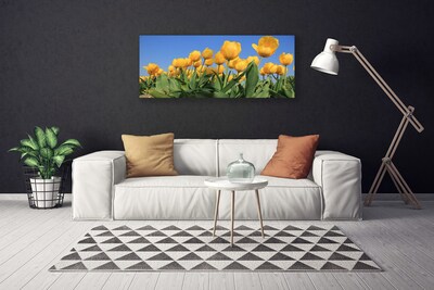 Quadro canvas Tulipas Flores Planta