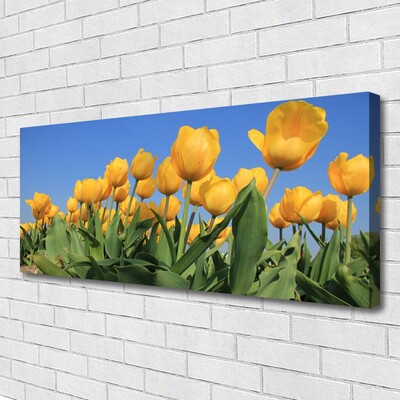 Quadro canvas Tulipas Flores Planta