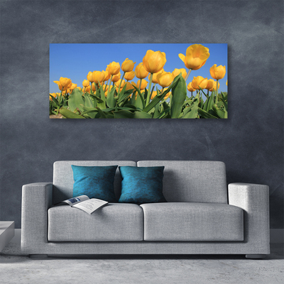 Quadro canvas Tulipas Flores Planta