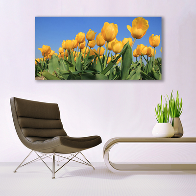 Quadro canvas Tulipas Flores Planta