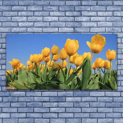Quadro canvas Tulipas Flores Planta