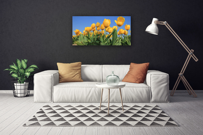 Quadro canvas Tulipas Flores Planta