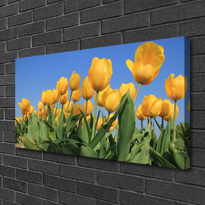 Quadro canvas Tulipas Flores Planta