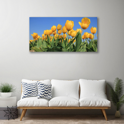 Quadro canvas Tulipas Flores Planta