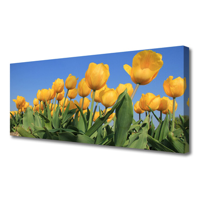 Quadro canvas Tulipas Flores Planta