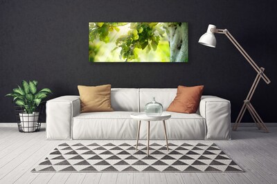 Quadro canvas Maçãs Galho Árvore Natureza