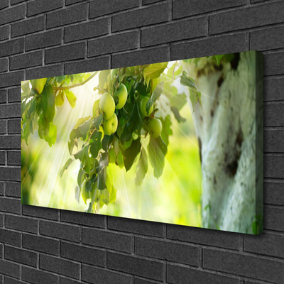 Quadro canvas Maçãs Galho Árvore Natureza