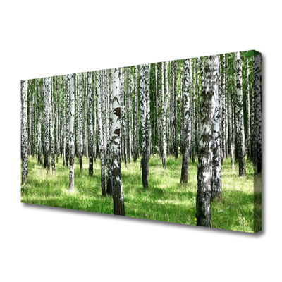 Quadro canvas Planta de grama florestal Natureza