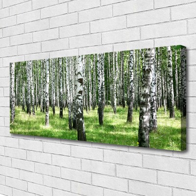 Quadro canvas Planta de grama florestal Natureza