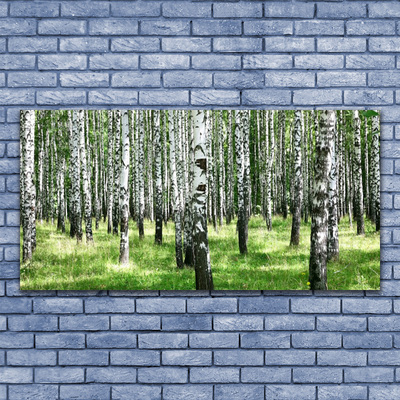 Quadro canvas Planta de grama florestal Natureza