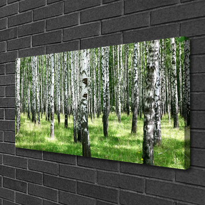 Quadro canvas Planta de grama florestal Natureza