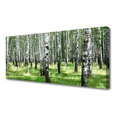 Quadro canvas Planta de grama florestal Natureza
