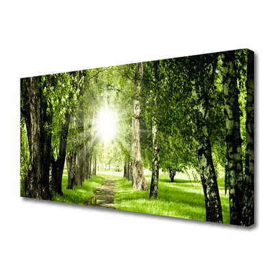 Quadro canvas Caminho do Sol na Floresta Natureza