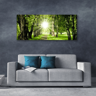 Quadro canvas Caminho do Sol na Floresta Natureza