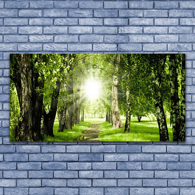 Quadro canvas Caminho do Sol na Floresta Natureza