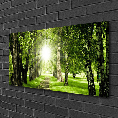 Quadro canvas Caminho do Sol na Floresta Natureza