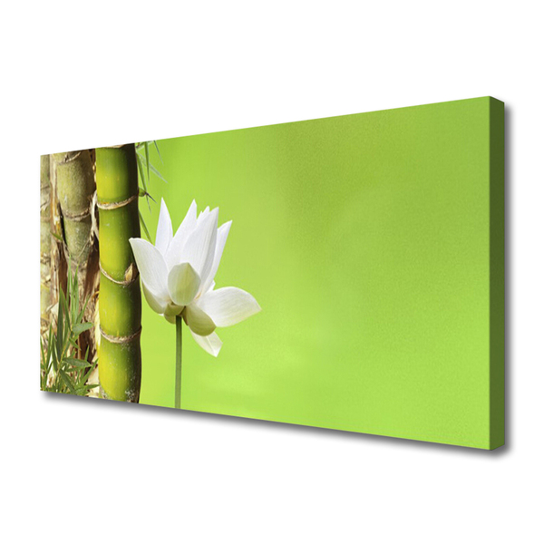 Quadro em tela Caule de bambu planta natureza