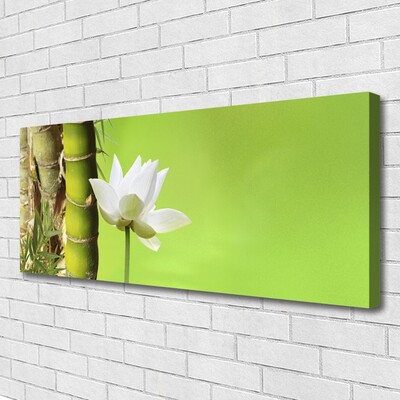 Quadro em tela Caule de bambu planta natureza