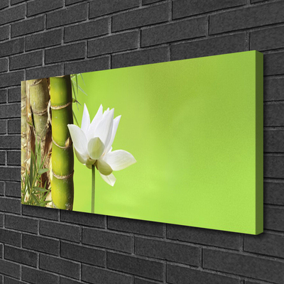 Quadro em tela Caule de bambu planta natureza