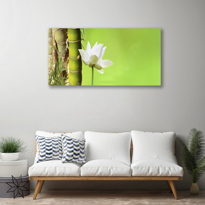 Quadro em tela Caule de bambu planta natureza