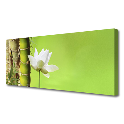 Quadro em tela Caule de bambu planta natureza