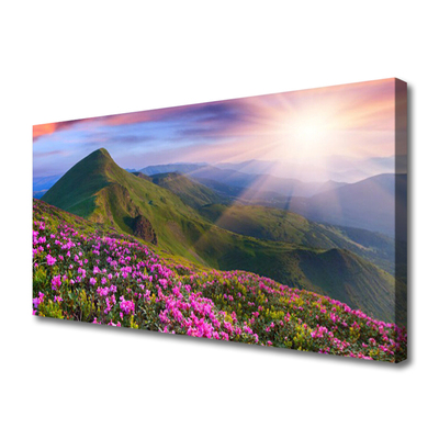 Quadro canvas Montanhas Prado Flores Paisagem