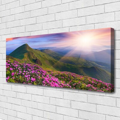 Quadro canvas Montanhas Prado Flores Paisagem