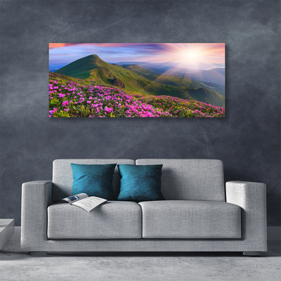Quadro canvas Montanhas Prado Flores Paisagem