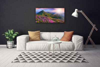 Quadro canvas Montanhas Prado Flores Paisagem