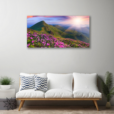 Quadro canvas Montanhas Prado Flores Paisagem