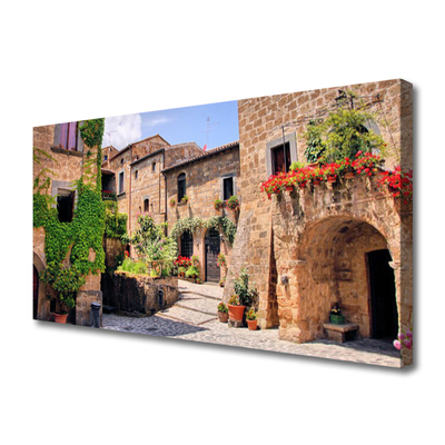 Quadro canvas Beco Flores Casas Planta