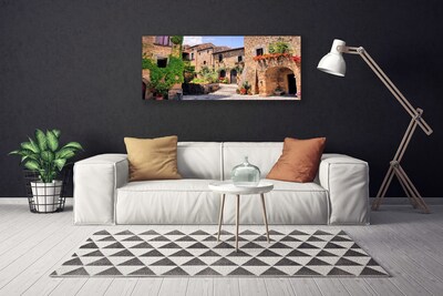 Quadro canvas Beco Flores Casas Planta