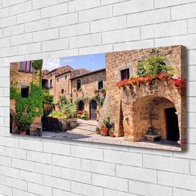 Quadro canvas Beco Flores Casas Planta