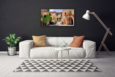 Quadro canvas Beco Flores Casas Planta