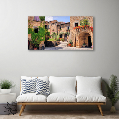 Quadro canvas Beco Flores Casas Planta