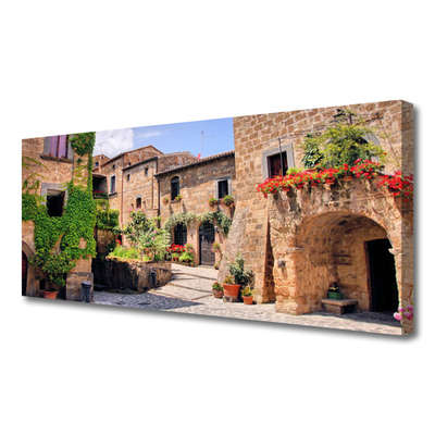 Quadro canvas Beco Flores Casas Planta