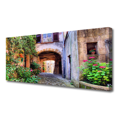 Quadro em tela Beco Flores Casas Planta