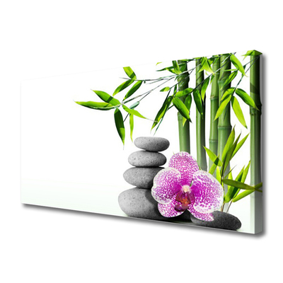 Quadro em tela Bamboo Spa Zen Art