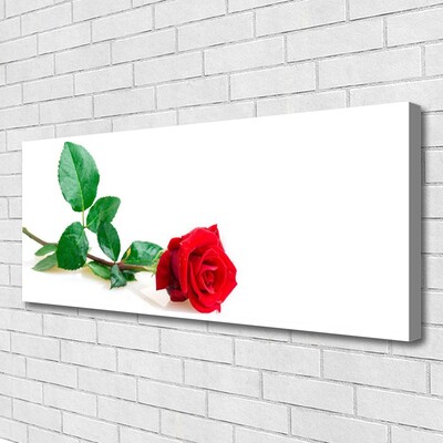 Quadro canvas Rosa Flor Planta Natureza