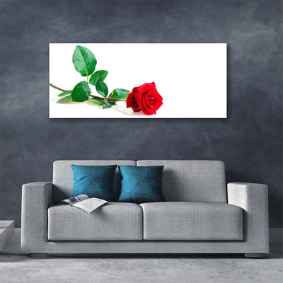 Quadro canvas Rosa Flor Planta Natureza