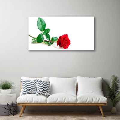 Quadro canvas Rosa Flor Planta Natureza